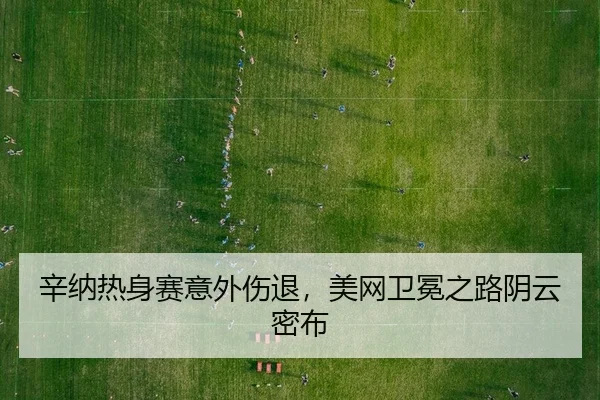 xin-na-re-shen-sai-yi-wai-shang-tui-mei-wang-wei-mian-zhi-lu-yin-yun-mi-bu-2-639.jpg